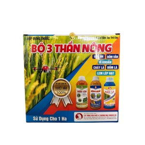 bo-3-than-nong